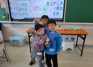 IMG_20240202_113452