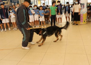 IMG_2775