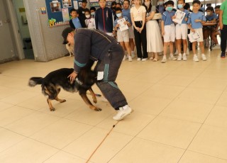 IMG_2776
