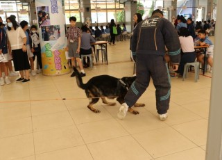IMG_2778