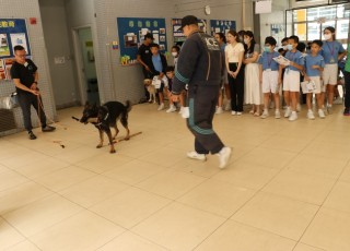IMG_2780