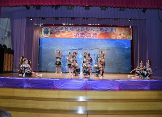 CGS_0379