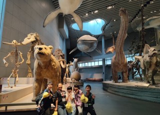 IMG_20241010_164800