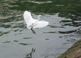 DSC01769