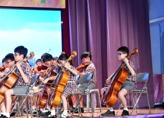 CGS_0803