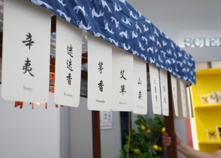 DSC00676