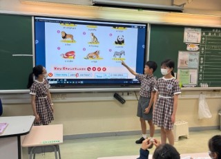 WhatsApp-Image-2025-05-07-at-9.23.18-AM-3