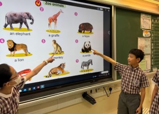 WhatsApp-Image-2025-05-07-at-9.23.19-AM