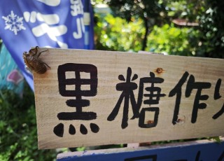 IMG_20240627_095404