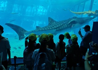 IMG_20240627_152035