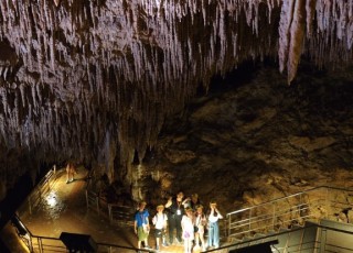 IMG_20240629_094056