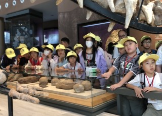 相片-10-10-2024-下午3-21-29