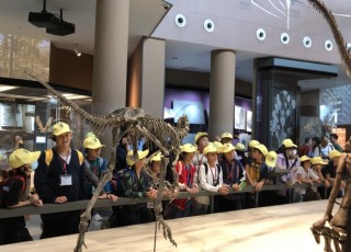 相片-10-10-2024-下午3-26-08