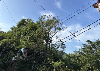 IMG_1516