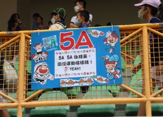 161A3881